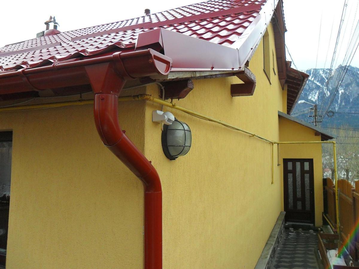 Casa Doina Hotel Busteni Luaran gambar