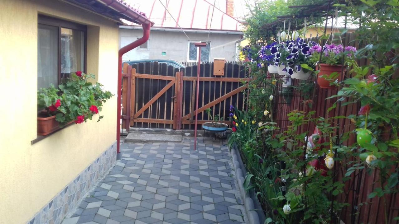 Casa Doina Hotel Busteni Luaran gambar